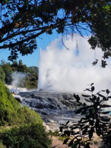 Geyser