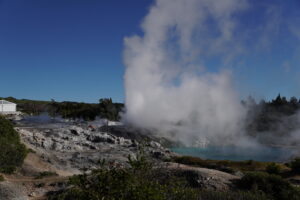 Geyser nz